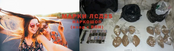 винт Инта