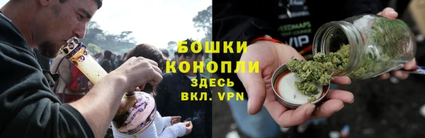 молекула духа Инсар