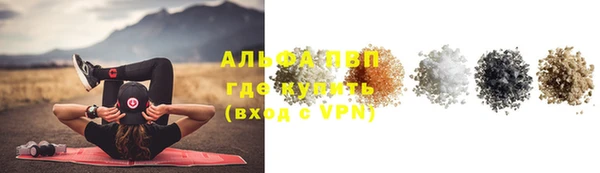 молекула духа Инсар