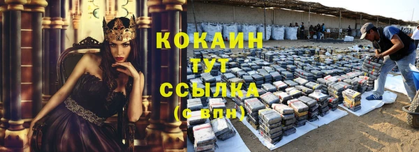 молекула духа Инсар