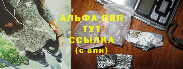 винт Инта