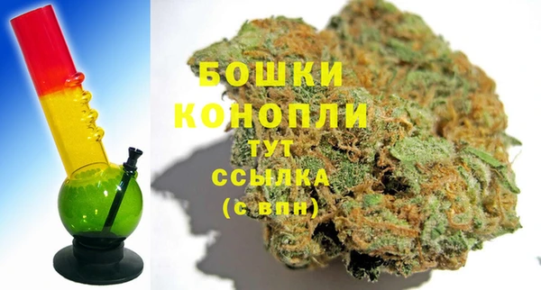 молекула духа Инсар