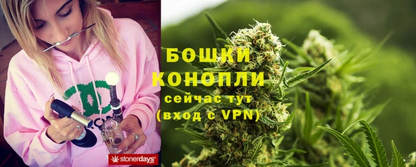 молекула духа Инсар