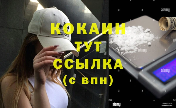 молекула духа Инсар