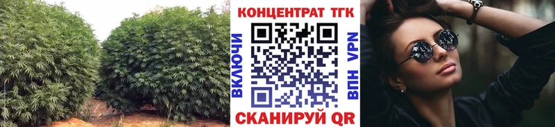 Купить закладки  Выборг  Дистиллят ТГК вейп с тгк 