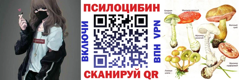 Купить закладки  Выборг  Псилоцибиновые грибы Magic Shrooms 